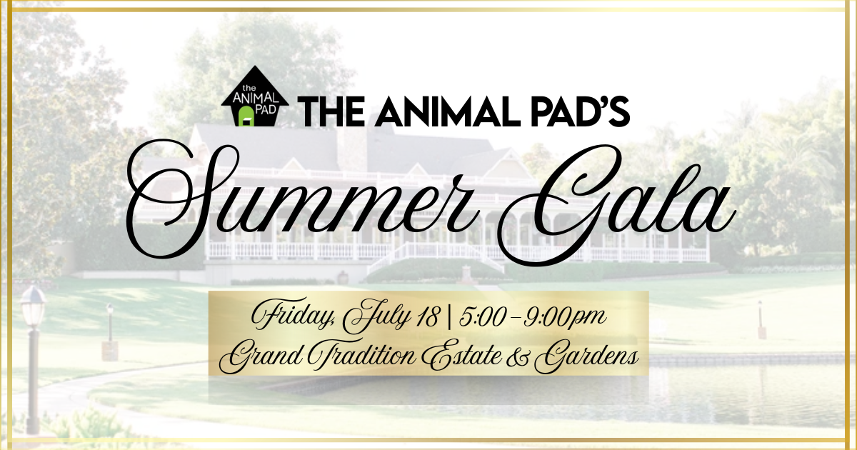 Campaign cover image for The Animal Pad's Summer Gala