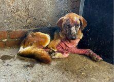 Campaign cover image for Giving Tuesday 2025