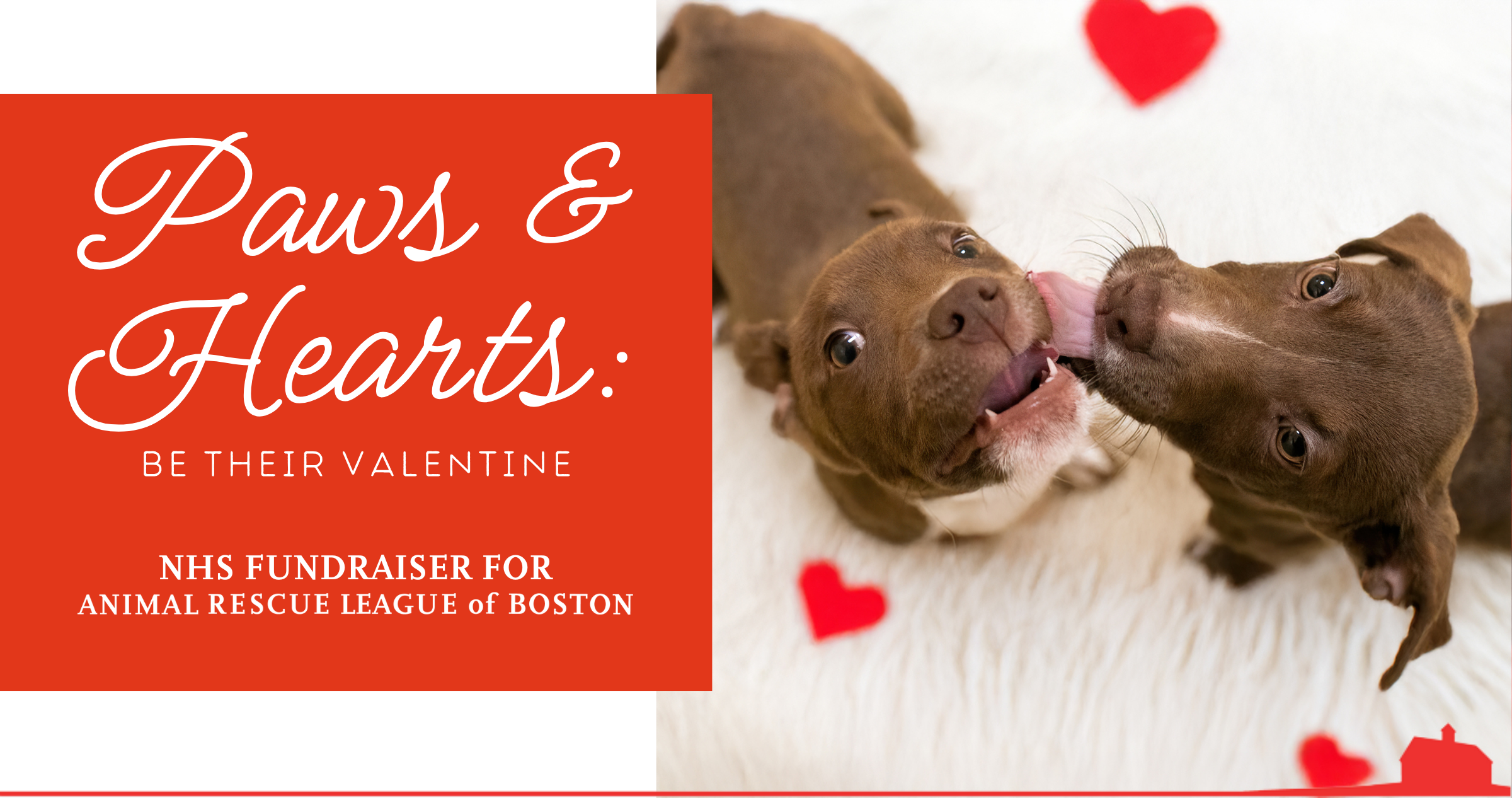 Campaign cover image for Paws & Hearts: Be Their Valentine — NHS Fundraiser for ARL Dedham