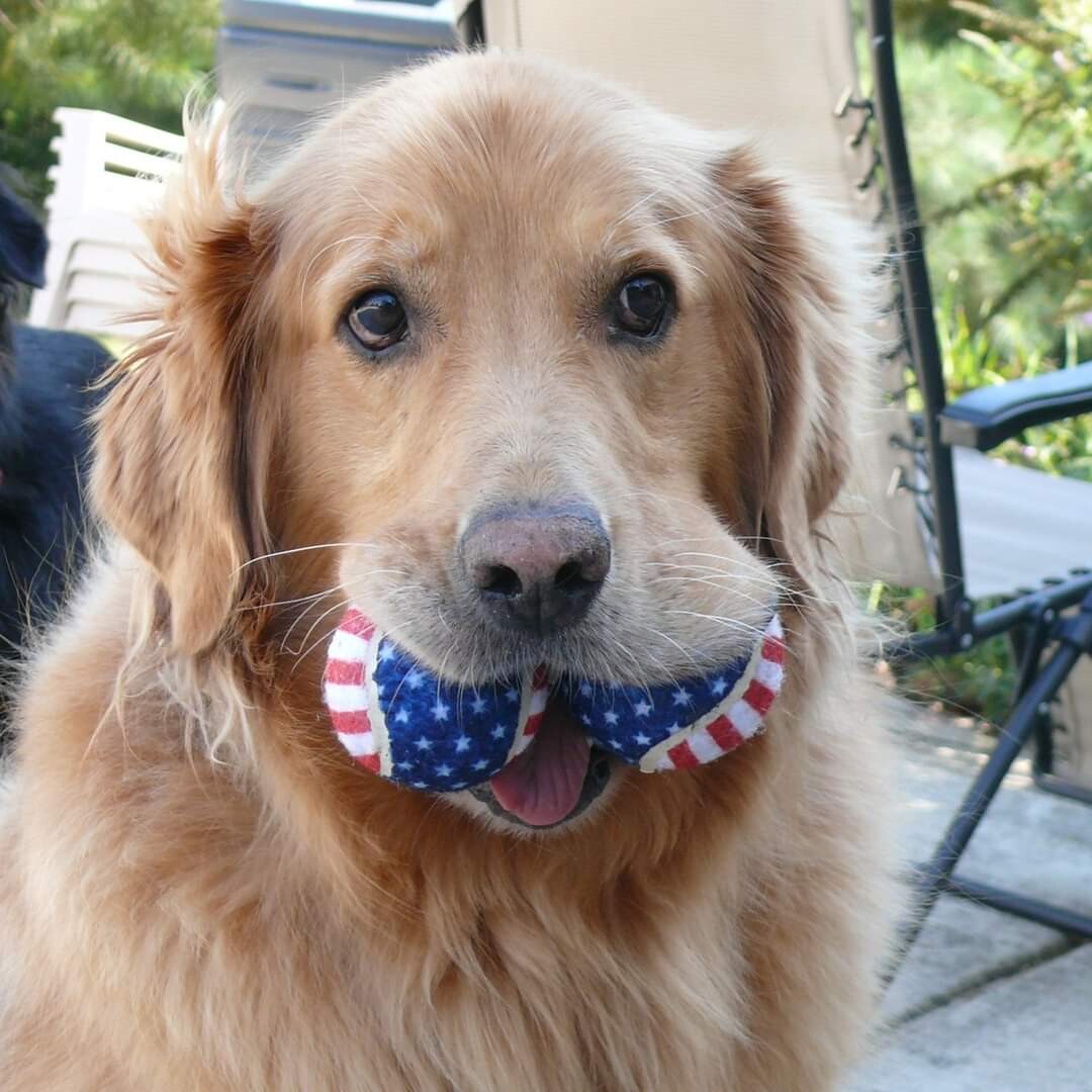 Campaign cover image for TGRR Giving Campaign