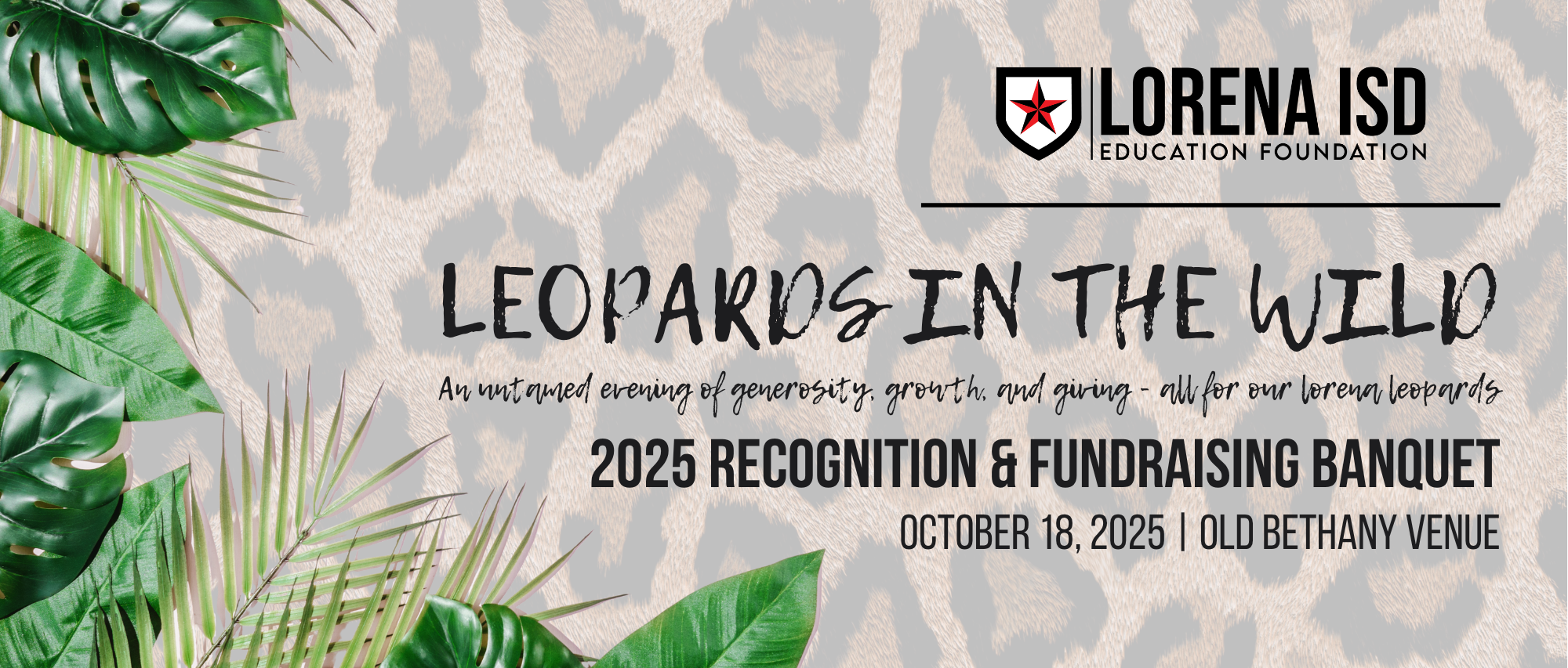 Campaign cover image for Leopards in the Wild