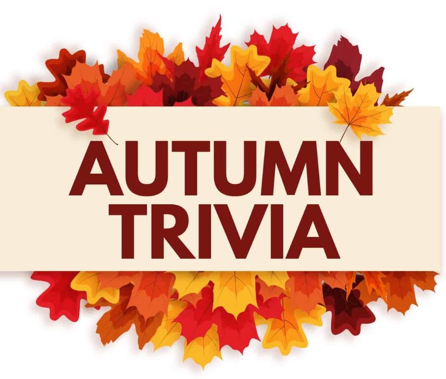 Campaign cover image for PJ23 Fall Trivia Night 2025