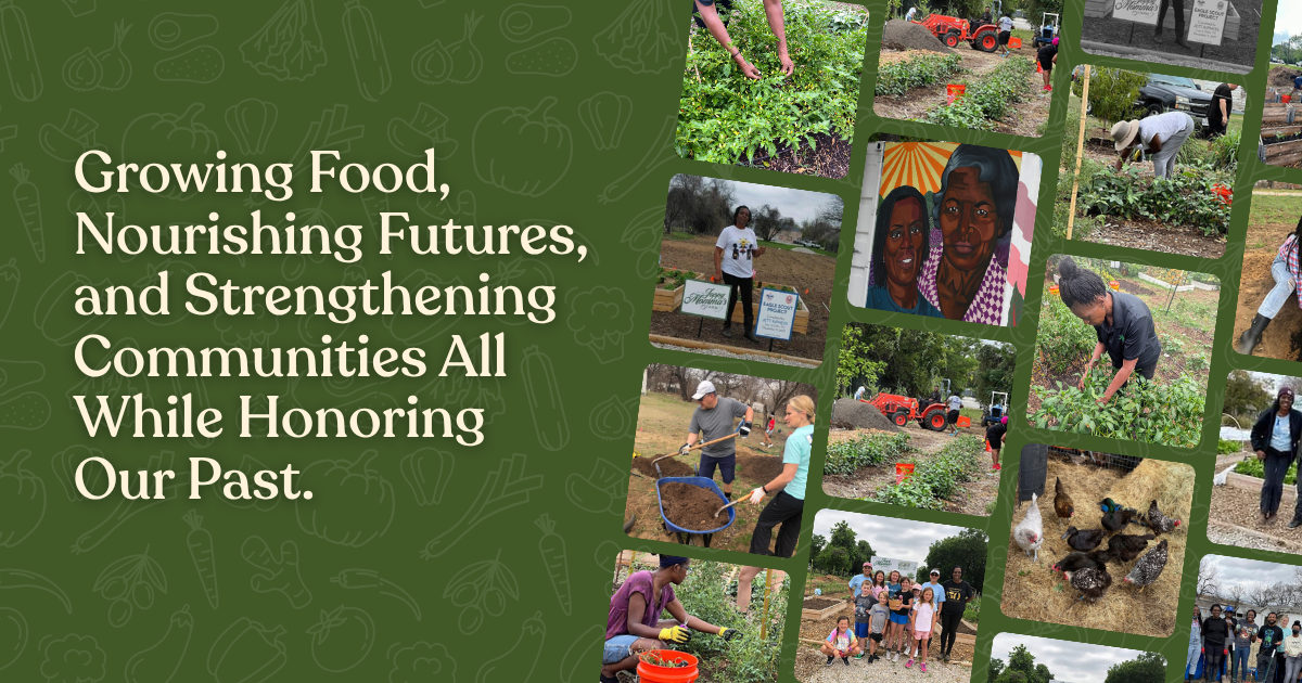 Campaign cover image for Joppy Momma Farms General Donation Campaign