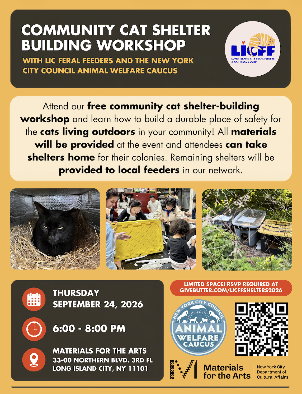 Campaign cover image for Community Cat Shelter Building with LICFF and NYCC Animal Welfare Caucus