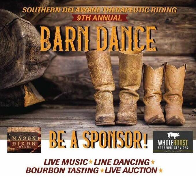 Campaign cover image for 9th Annual Barn Dance to Benefit SDTR