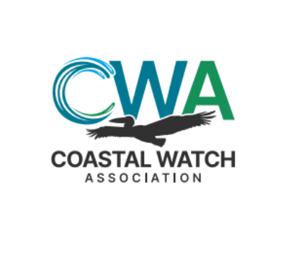 Campaign cover image for 2026 Fights