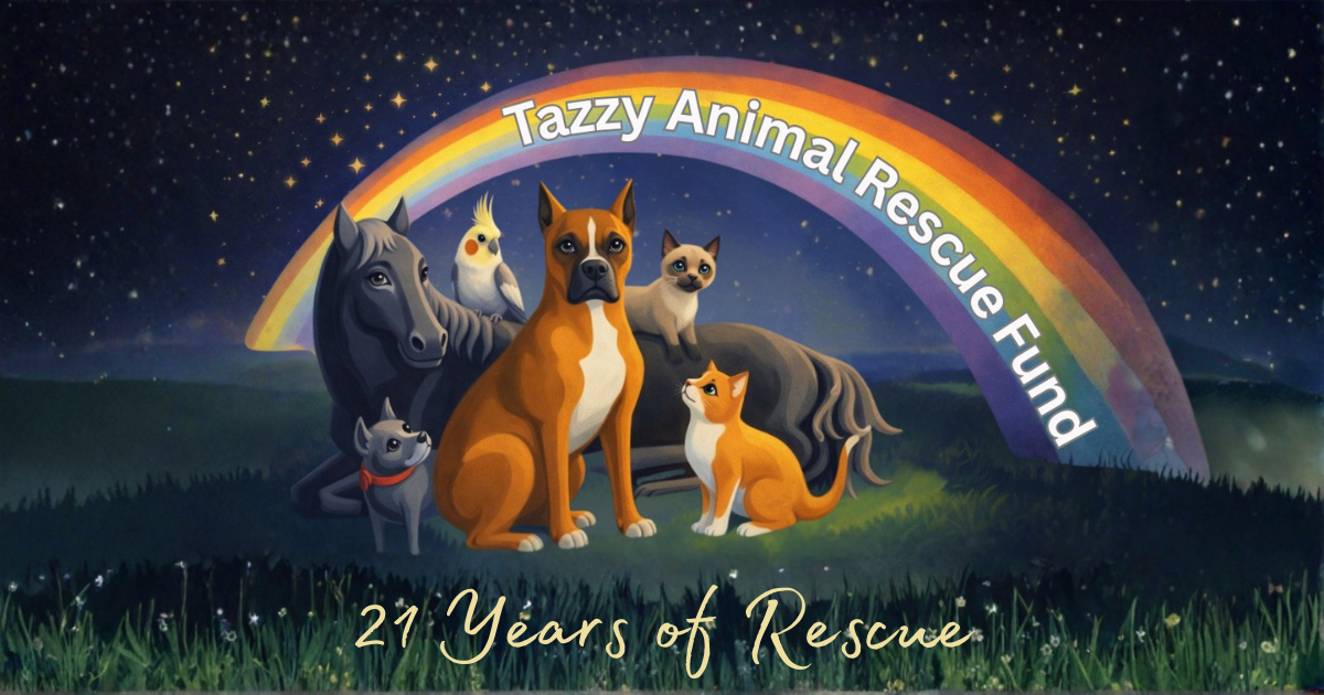 Campaign cover image for 21 Years Of Rescue