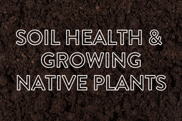 Campaign cover image for Bringing Nature Home: Soil Health and Growing Native Plants