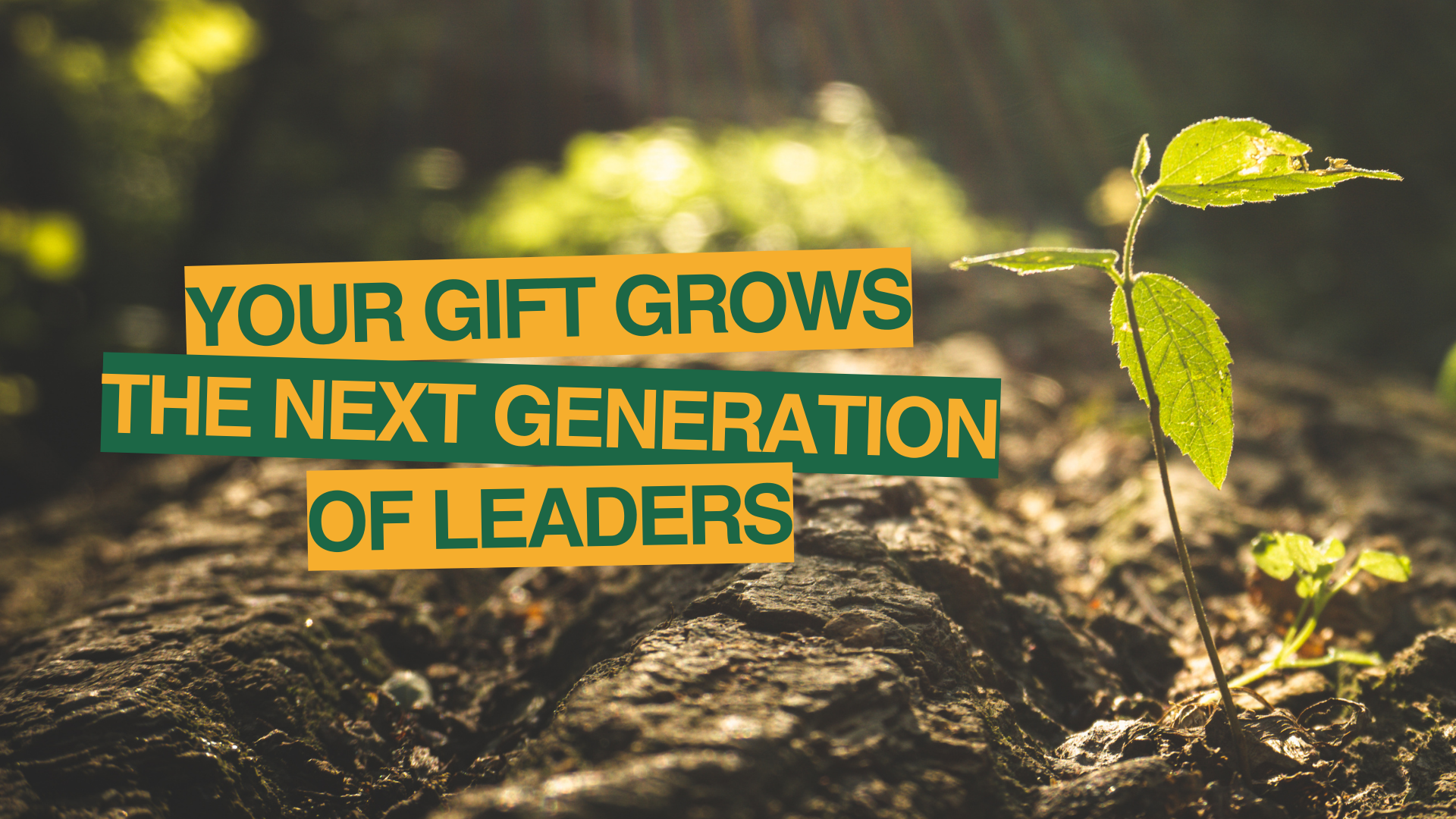 Campaign cover image for Give to Grow the Next Generation of Leaders