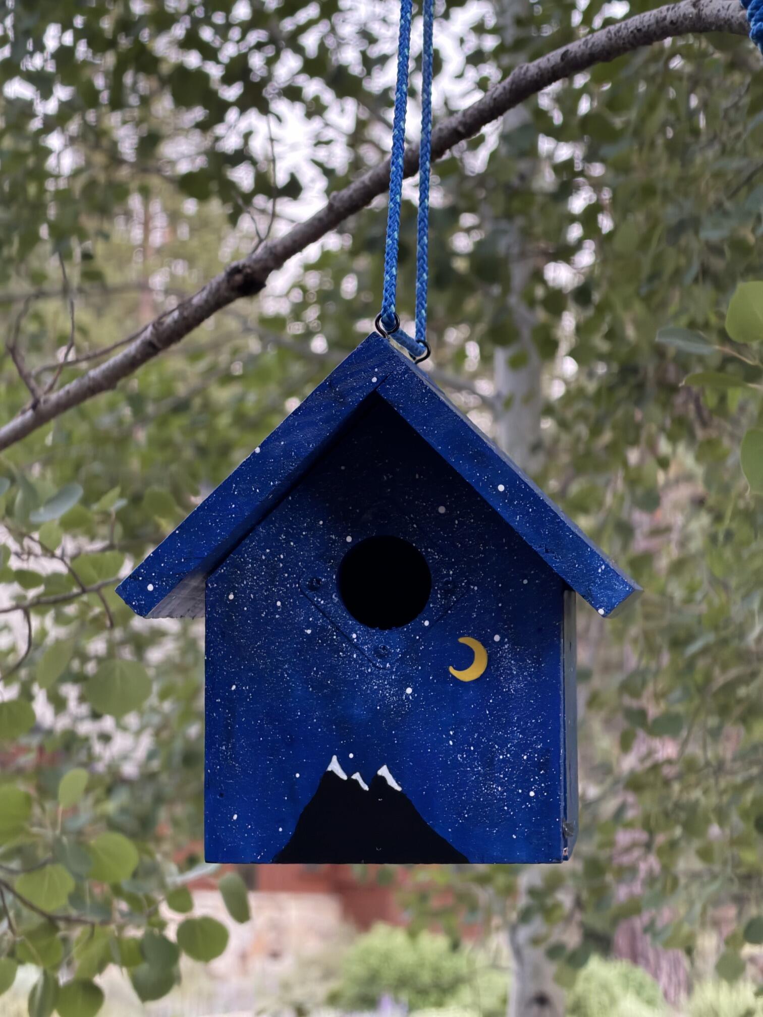 Campaign cover image for Birdhouses for a Heart Beat