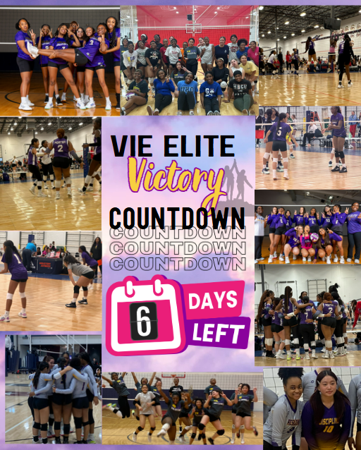 Campaign cover for Vie Elite Victory Countdown!