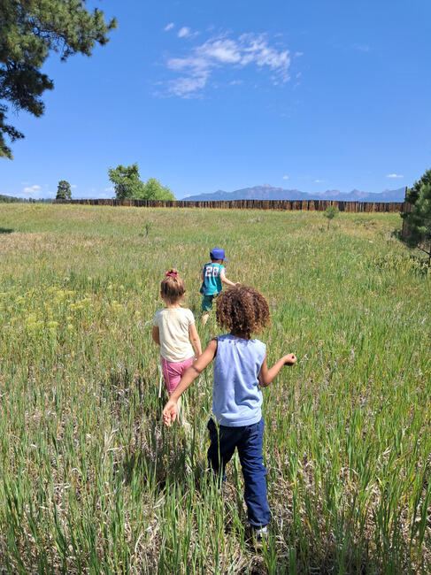 Campaign cover image for Wings in the Wild 2025