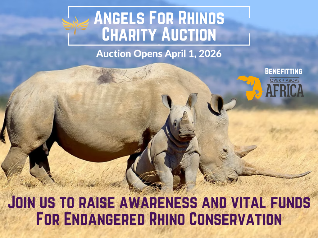 Campaign cover image for Angels For Rhinos Charity Auction