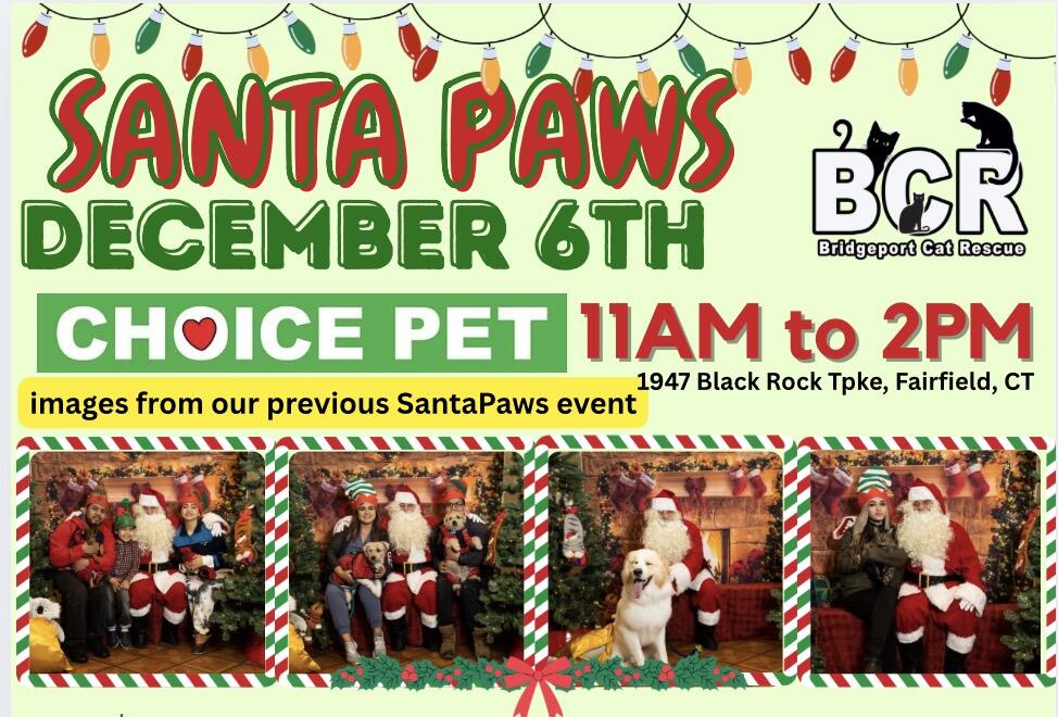 Campaign cover image for 2025 SantaPaws at CHOICE PET DEC 6TH
