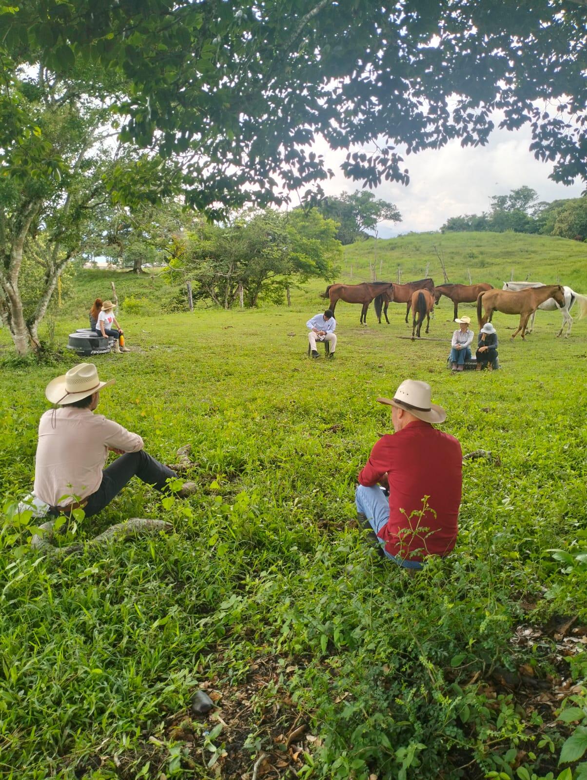 Campaign cover image for Life In Service: Coaching with Horses