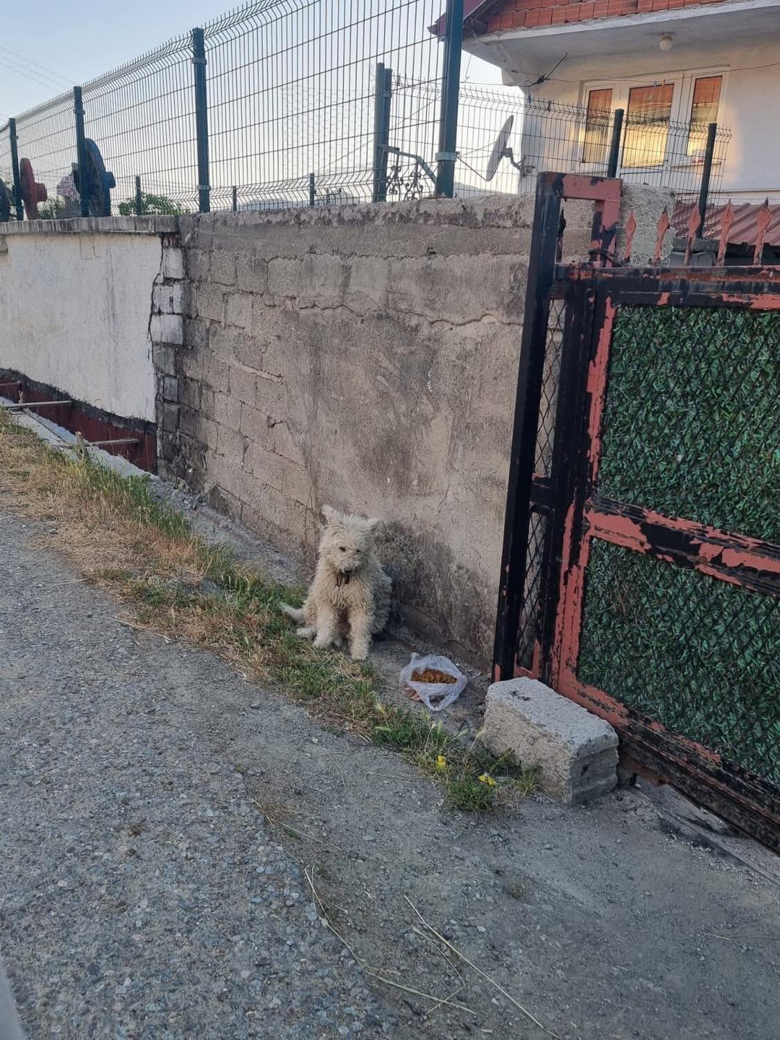 Campaign cover image for Sticks and stones