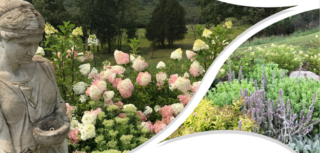 Campaign cover image for In Bloom : A Nature's Classroom Garden Party Fundraising Event