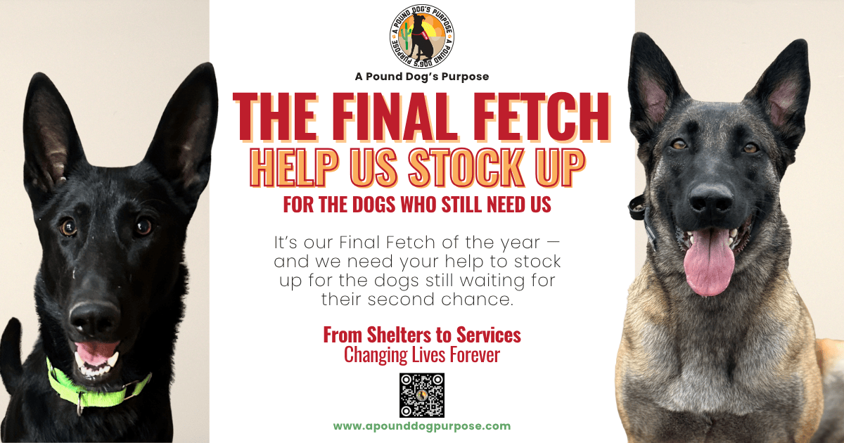 Campaign cover image for The Final Fetch of 2025