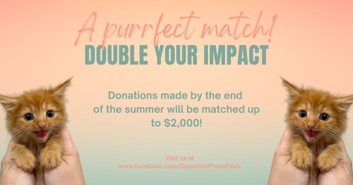 Campaign cover image for Summer Matching Fundraiser