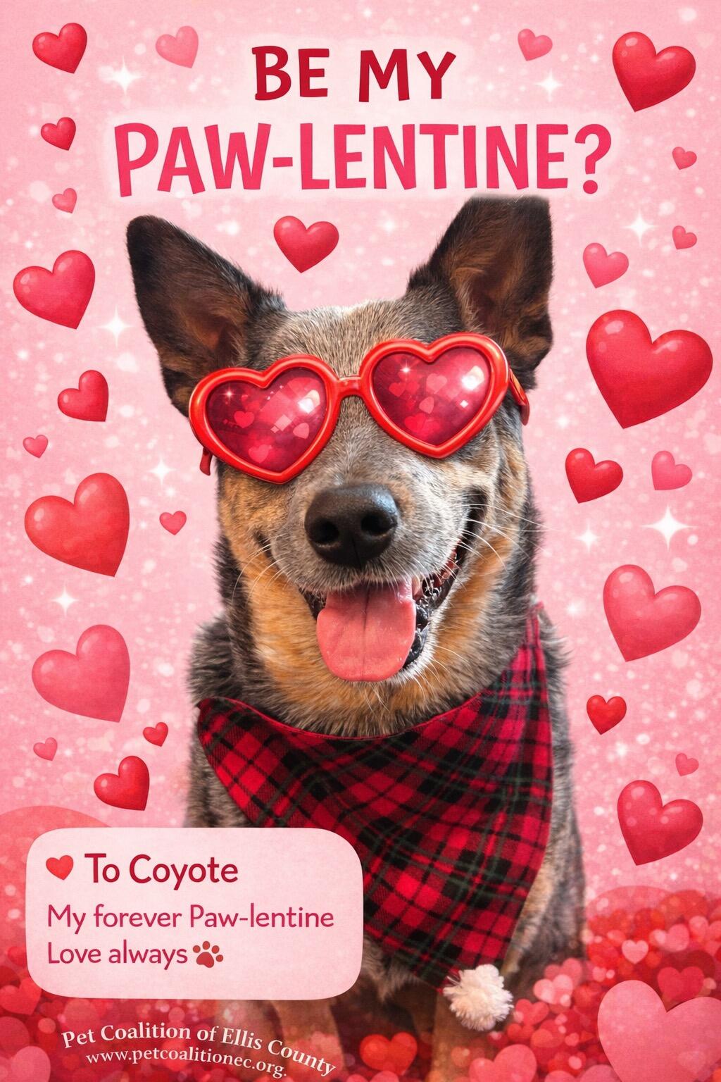 Campaign cover image for 💕🐾 Be my PAW-lentine🐾💕