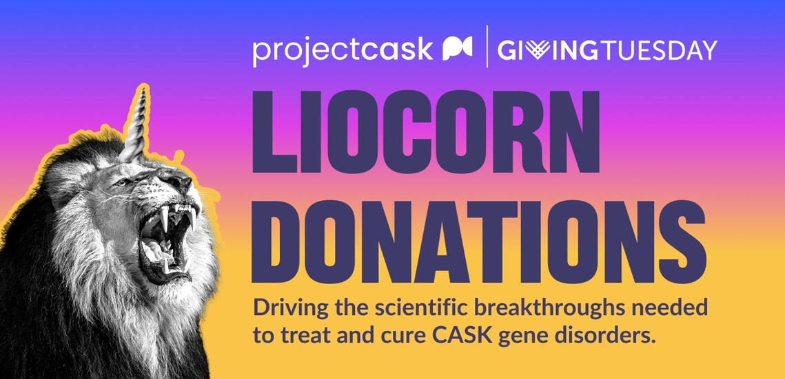 Campaign cover image for Liocorn Donations