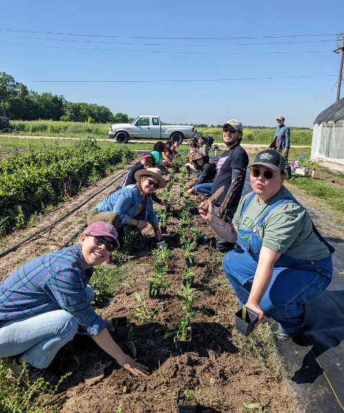 Campaign cover image for Volunteer with Farmshare Austin!