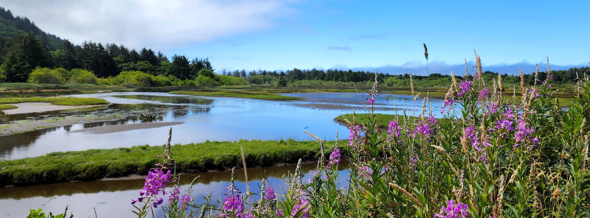 Campaign cover image for Celebrate the Bounty of the Bays 2025