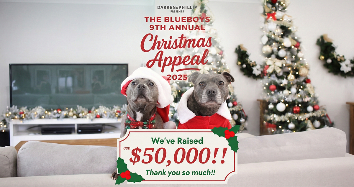 Campaign cover image for Darren & Phillip's 2025 Blueboys Christmas Appeal