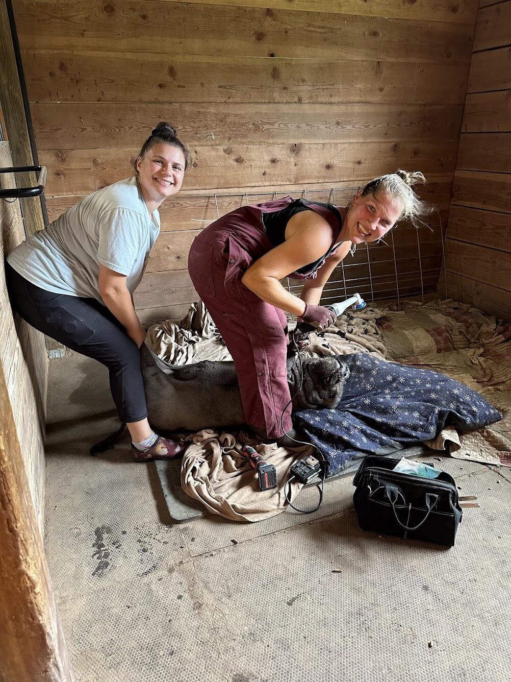 Campaign cover image for Hoof Hero