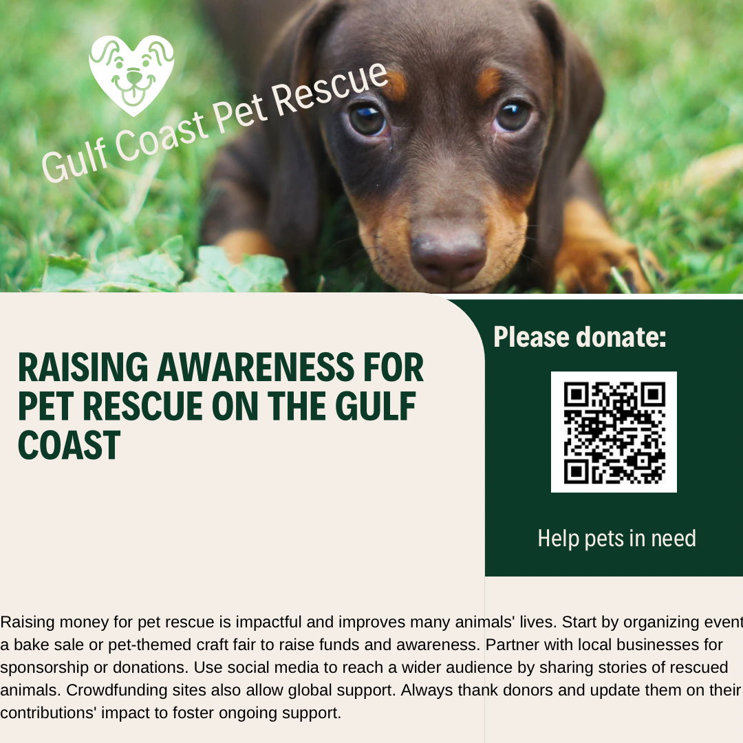 Campaign cover image for Gulf Coast Pet Rescue