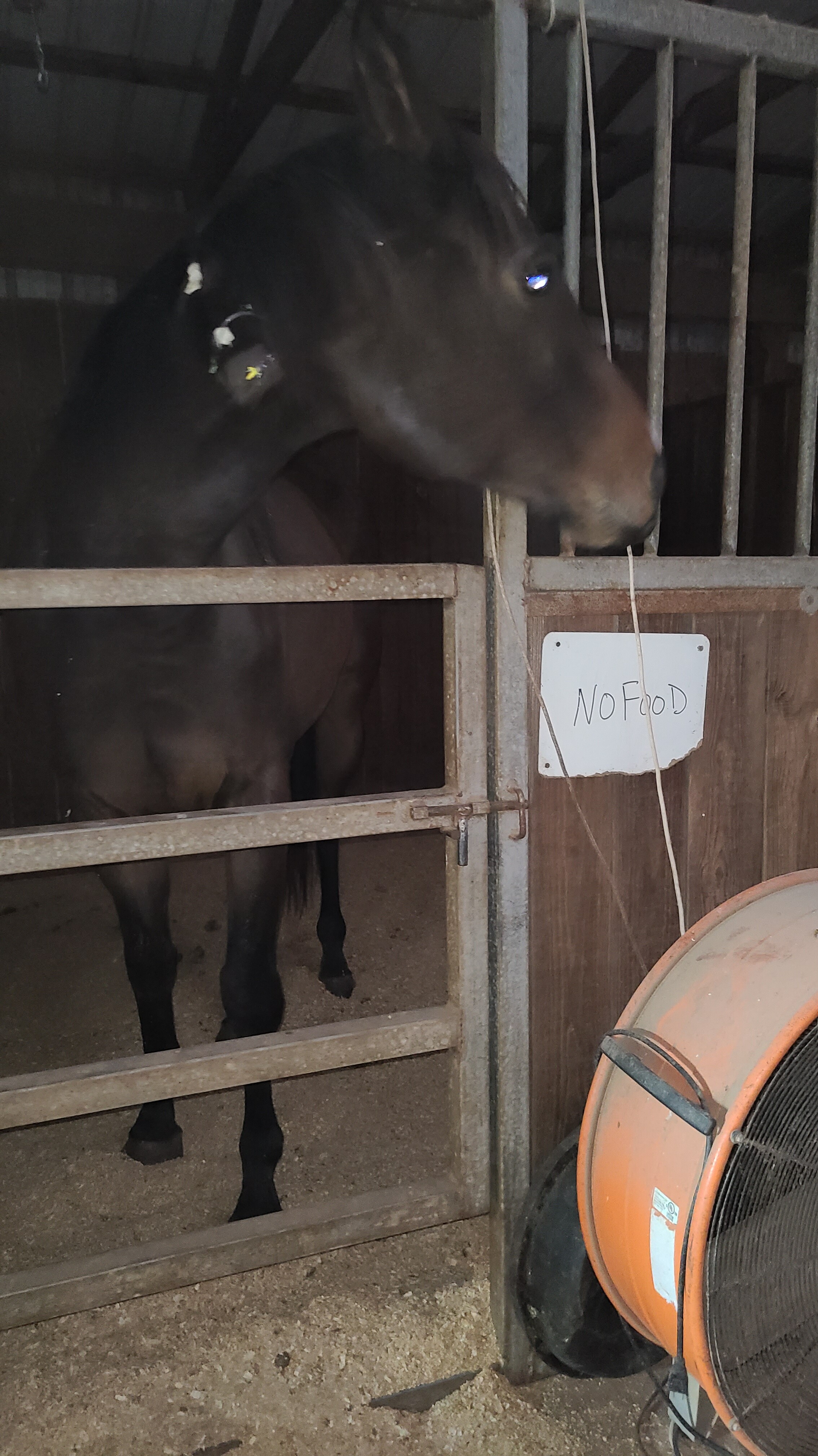 Campaign cover image for Emergency VetBill