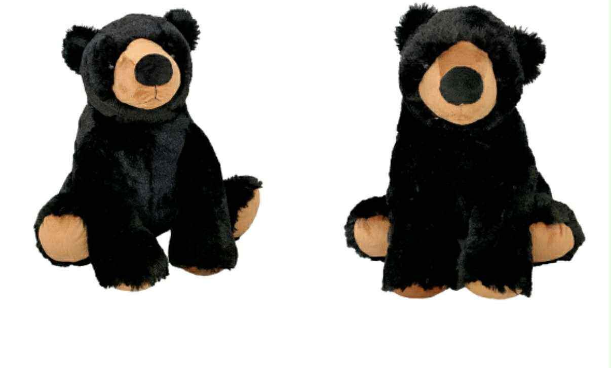 Campaign cover image for Brookie's Bears