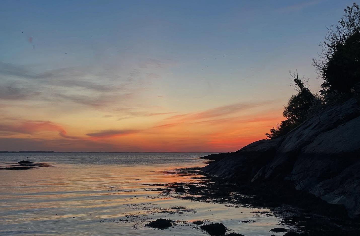 Campaign cover image for Mutual Aid Funds for Immigrant Community Members in Cape Ann and Nearby Communities