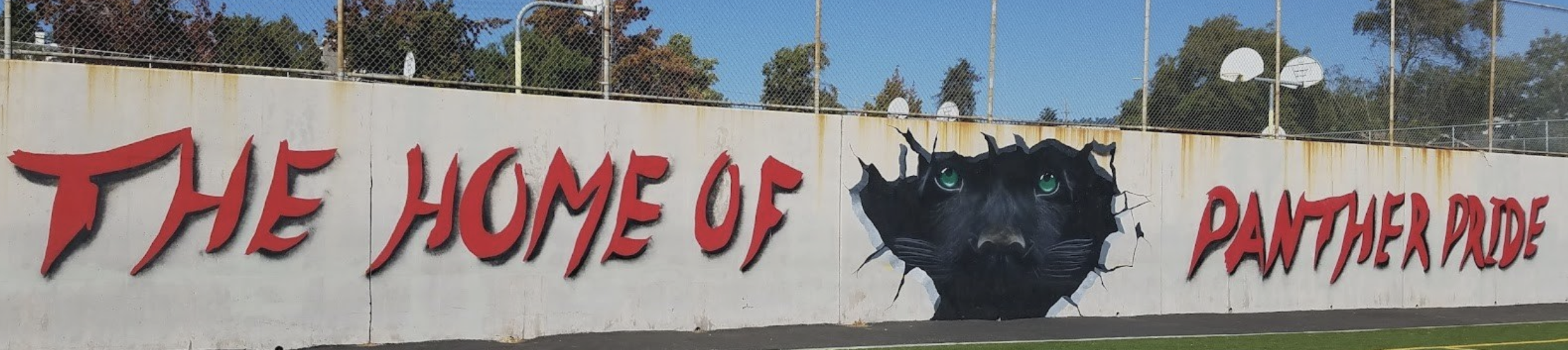 Campaign cover image for 2026 Spring Sports