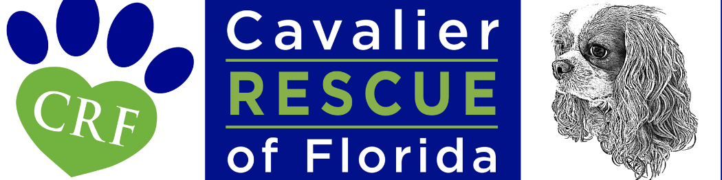 Campaign cover image for Donate Now