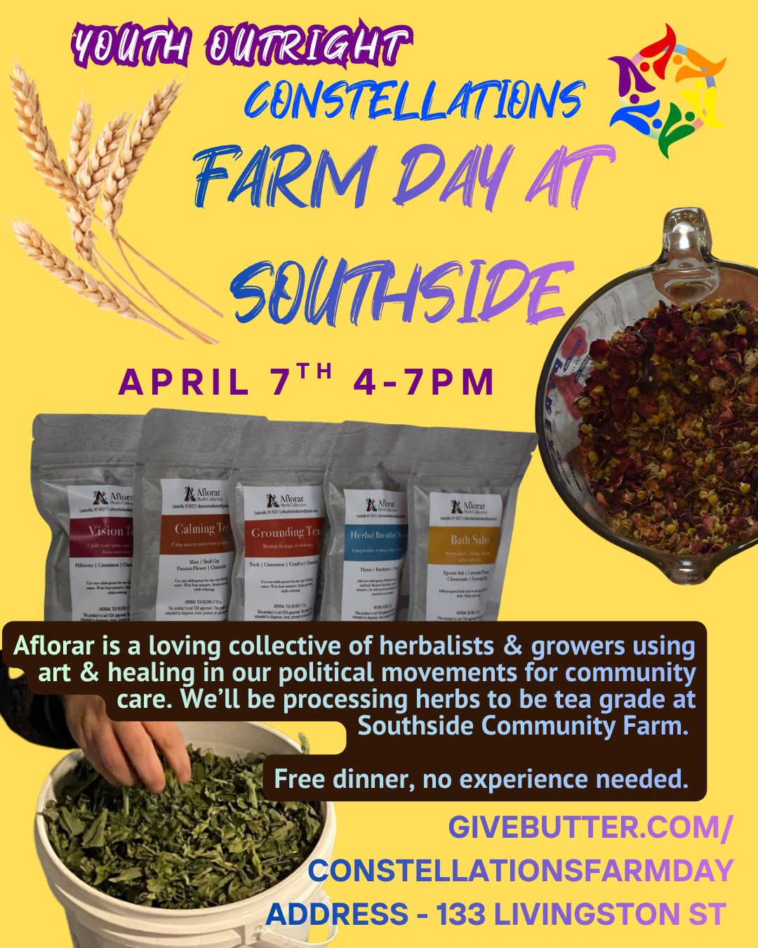 Campaign cover image for Constellations - Southside Farm Hangout :)