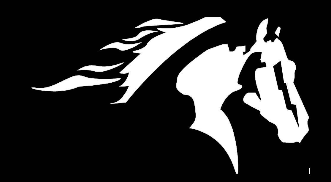 Campaign cover image for THE 2025 SHS PAGEANT