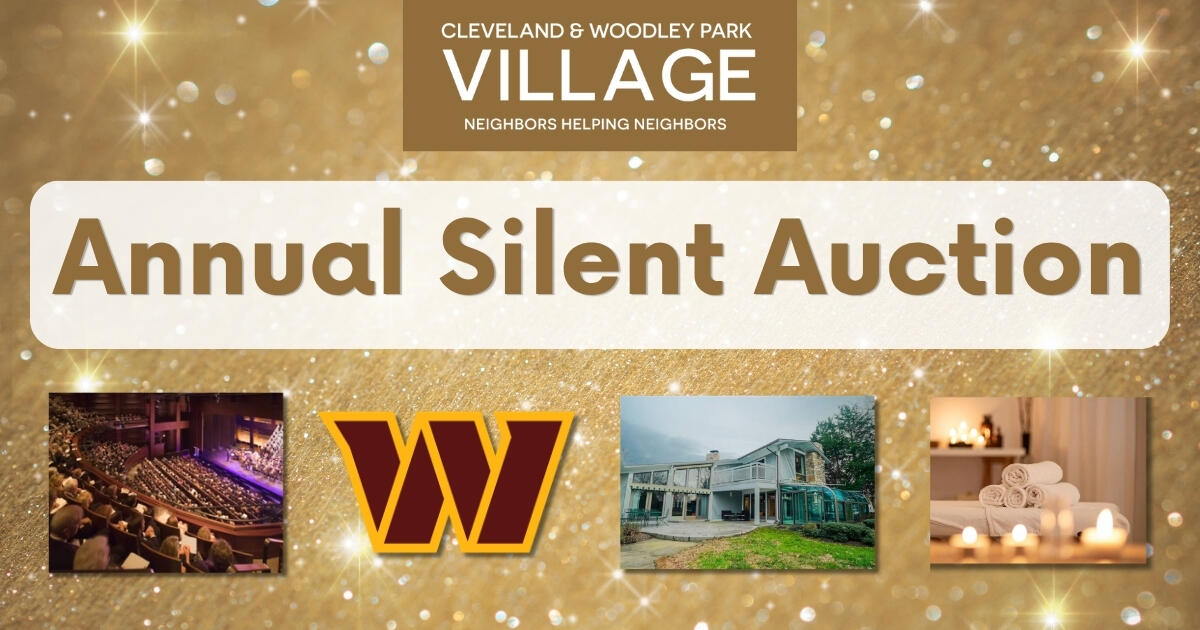 Campaign cover image for Village Auction 2026