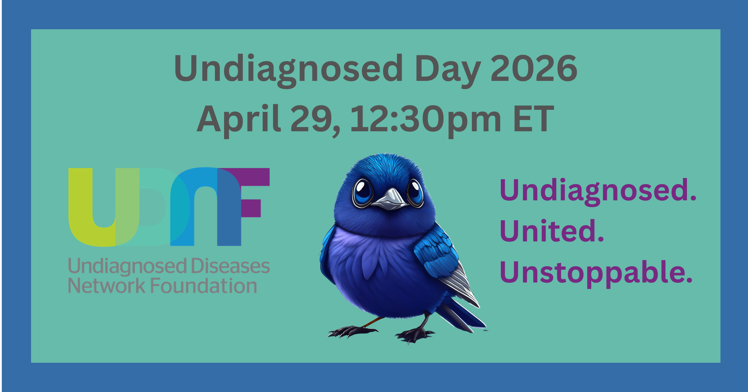 Campaign cover image for UDNF Undiagnosed Day 2026