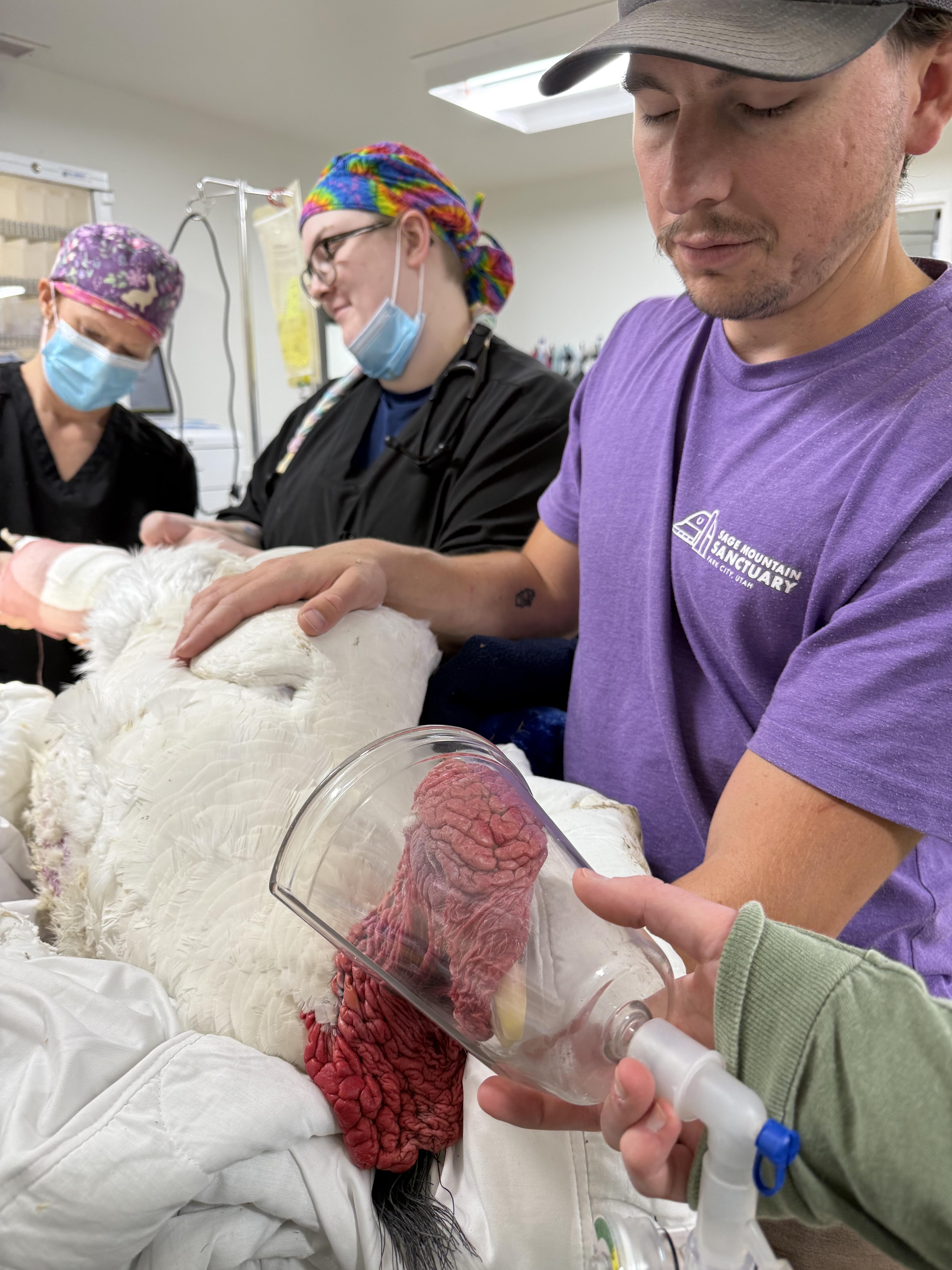 Campaign cover for Brett's Surgery Bills Fundraiser