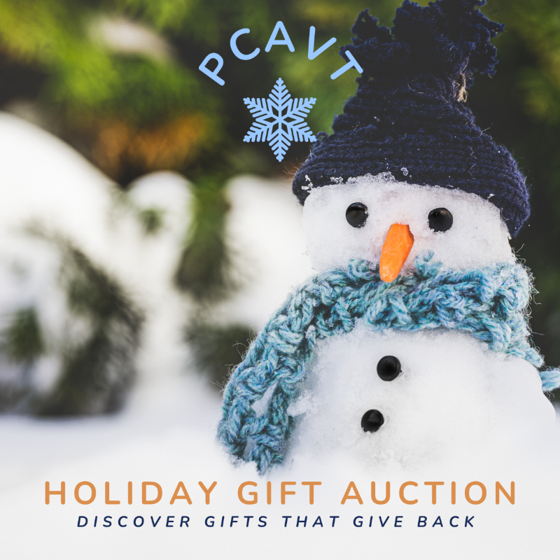 Campaign cover image for PCAVT 2026 Holiday Gift Auction - with a Twist!