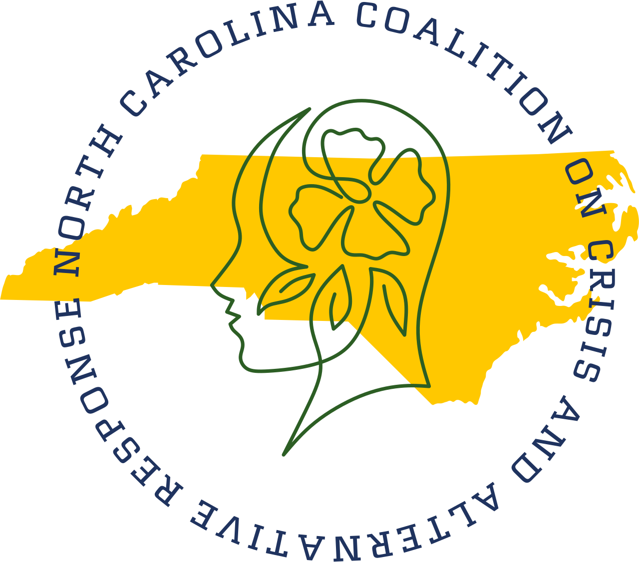 Campaign cover image for 2nd Annual NC Crisis Summit