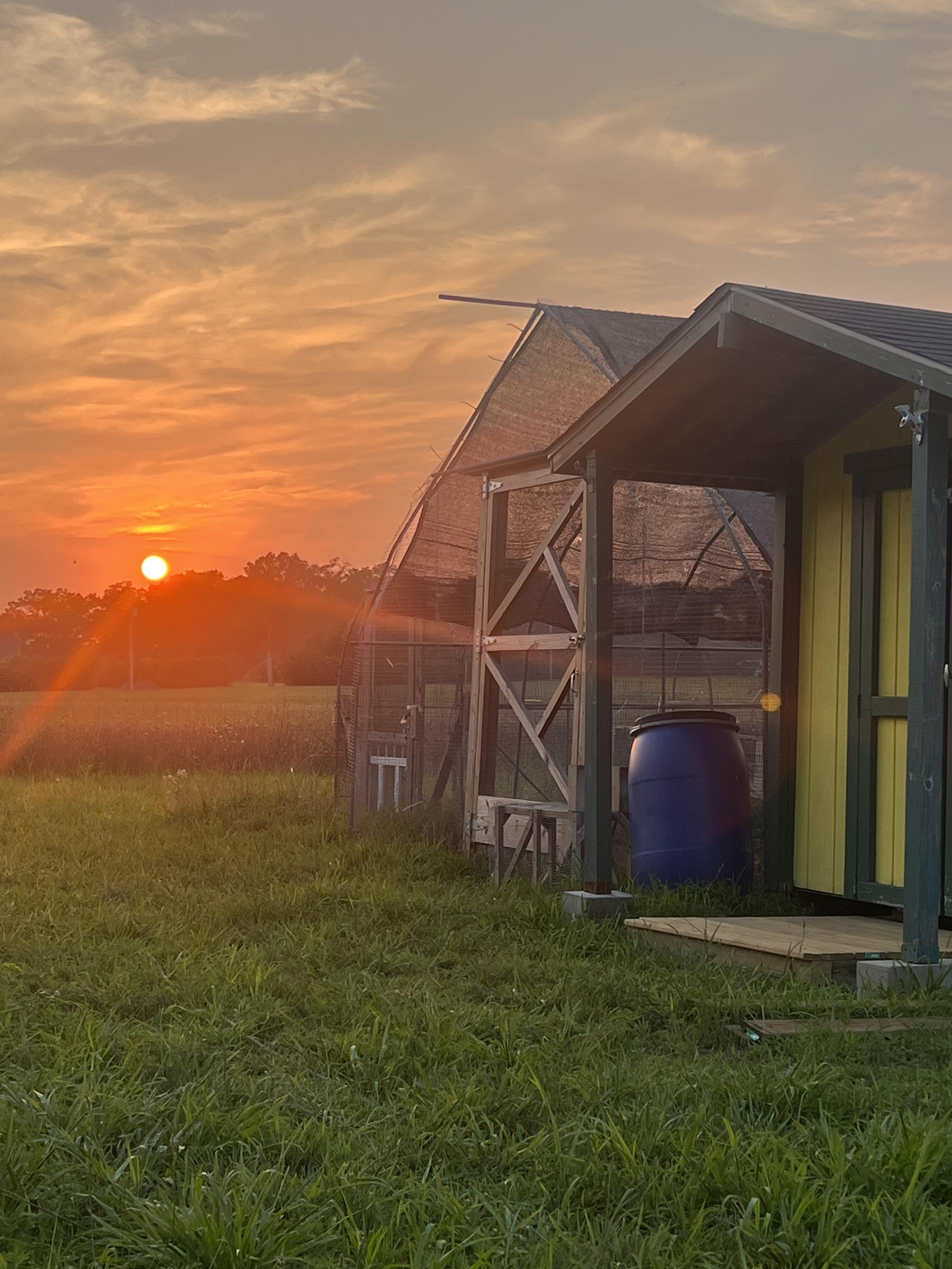 Campaign cover image for Support Harvest River Farm