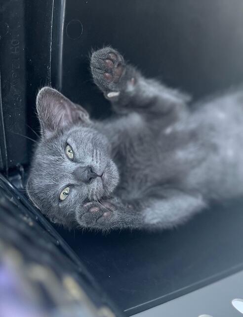 Campaign cover image for Care & Comfort Fund