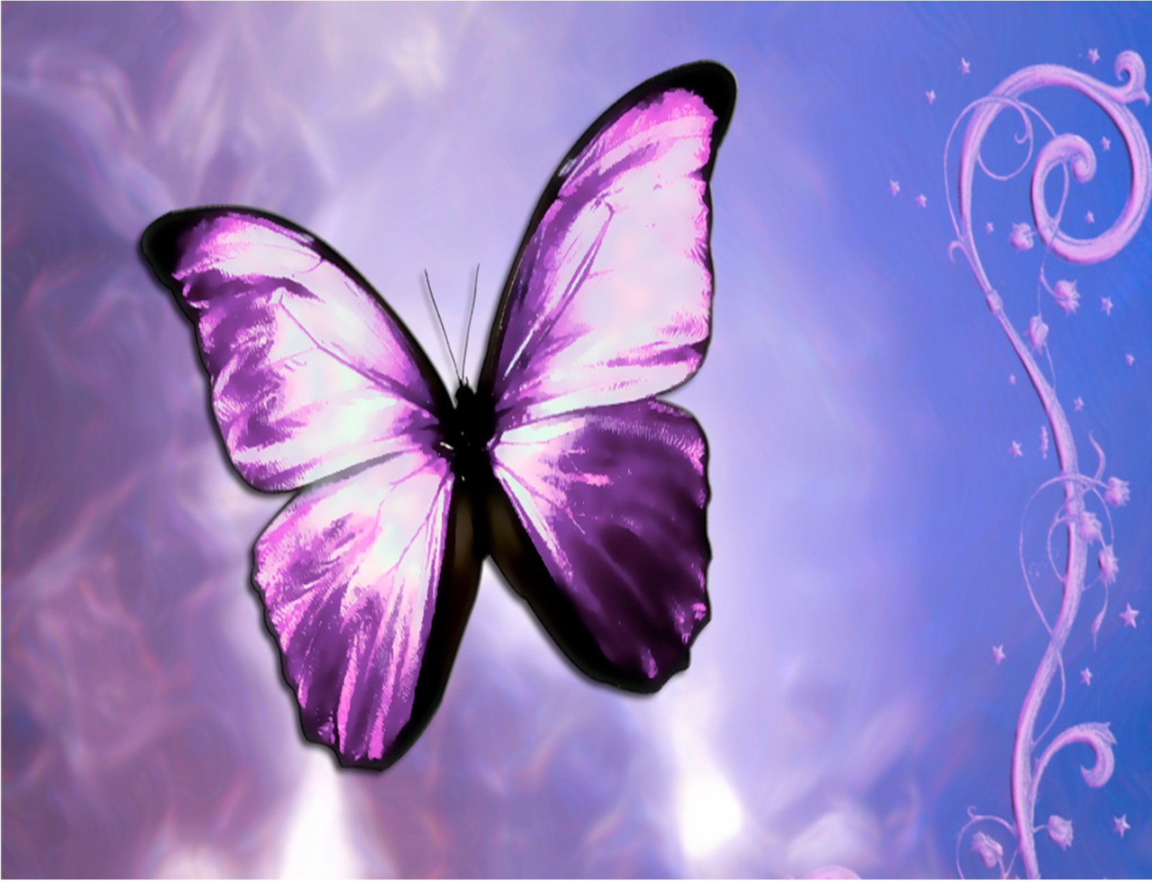 Campaign cover image for With Love and Gratitude Presents an Afternoon of Messages from Beyond