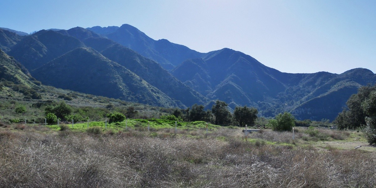 Campaign cover image for Lifting Up ST Forward into our next Five Years