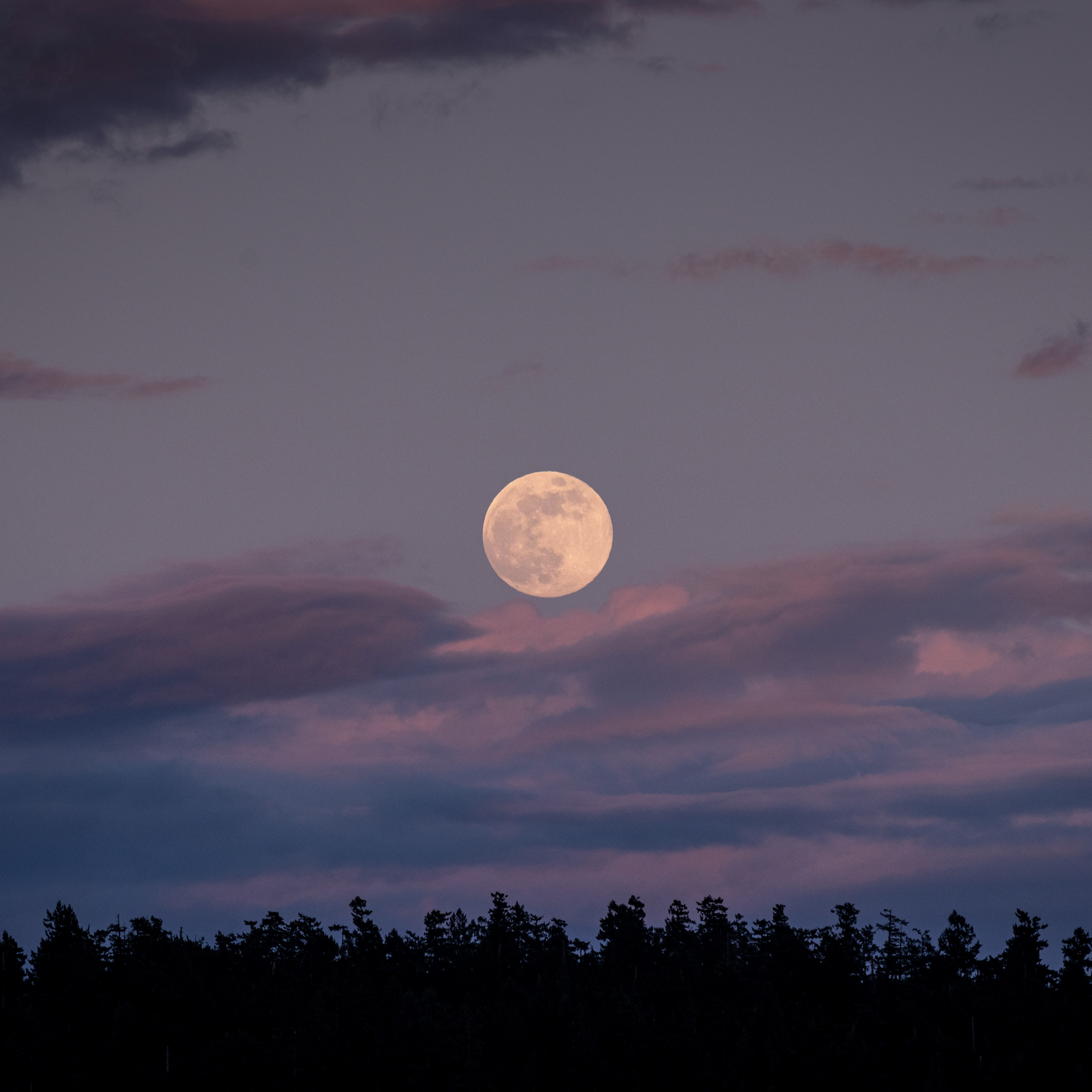 Campaign cover image for Full Moon Hike with Catskill Center Executive Director
