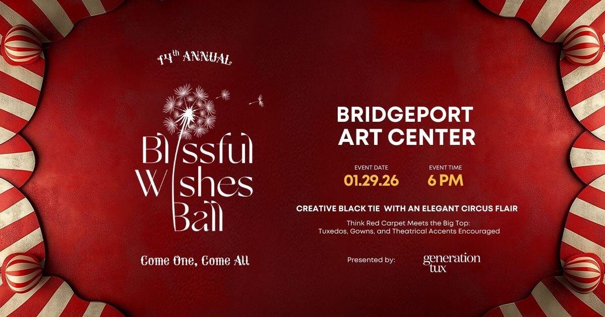 Campaign cover image for 2026 Blissful Wishes Ball - An Evening Under the Big Top