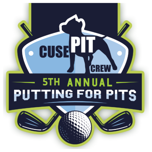 Campaign cover image for 5th Annual Cuse Pit Crew Putting For Pits Golf Tournament