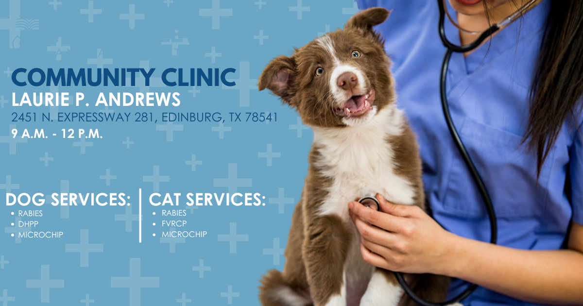 Campaign cover image for Feb 28th Clinic